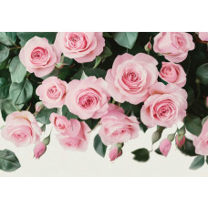 Fotobehang roze rozen met volle bloeiende bloemen en groene bladeren op een lichte achtergrond.