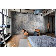 Eine Fototapete von einer Betonwand mit zarten Rosen in Grautönen, perfekt für eine Vliestapete im Schlafzimmer.