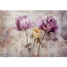 Rosen auf einer Betonwand dargestellt, eine detailreiche Fototapete mit kunstvoller Blumenpracht.