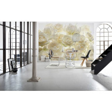 Eine Fototapete mit einer Wand voller weißer Rosen, für einen hellen und klassischen Look. Dieser Blumendruck bringt eine frische und elegante Atmosphäre in das Wohnzimmer.