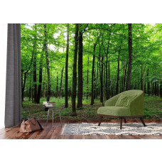Ein Fototapet von einem beruhigenden Wald mit Bäumen in grünen Tönen in einem Wohnzimmer.