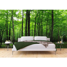 Ein Fototapet von einem beruhigenden Wald mit Bäumen in grünen Tönen in einem Schlafzimmer mit Airtex und Vliesbehang.