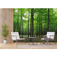 Ein Fototapet von einem beruhigenden Wald mit Bäumen in grünen Tönen in einem Wohnzimmer mit Airtex und Vliesbehang.