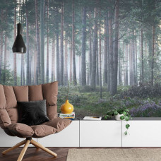 Eine beruhigende Fototapete von Bäumen in einer nebligen Waldlandschaft, ideal für ein Wohnzimmer.