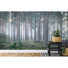 Eine warme Fototapete eines nebligen Waldes mit einer ruhigen Atmosphäre, perfekt für ein Schlafzimmer.