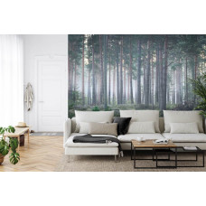 Eine rustikale Fototapete eines nebligen Waldes mit Bäumen, ideal für ein Wohnzimmer.