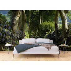 Eine Fototapete mit einem rustikalen Waldweg durch majestätische Bäume in einem Schlafzimmer.