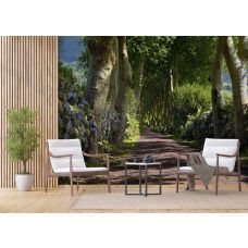 Eine Fototapete mit einem rustikalen Waldweg durch majestätische Bäume in einem Wohnzimmer.