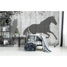 Eine Fototapete mit dem Schatten von Pferden an einer Betonwand in einem Kinderzimmer.