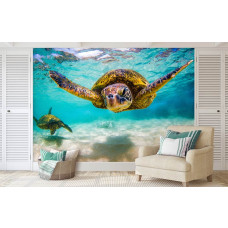 Fototapete Schildkröte im Ozean im Büro mit einer beeindruckenden Unterwasseraufnahme einer schwimmenden Schildkröte.