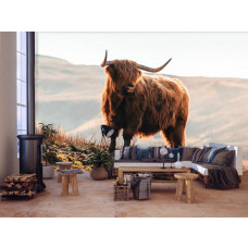 Eine Fototapete mit einem schottischen Hochlandbewohner und einem Bison in einer Berglandschaft, perfekt für ein Wohnzimmer.