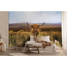 Eine beruhigende Fototapete mit einem schottischen Highlander in einer Naturlandschaft voller Heideland, ideal für ein Schlafzimmer.