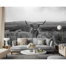 Eine Schwarz-Weiß-Landschaft mit einem schottischen Hochlandbewohner und Heidekraut für ein Wohnzimmer oder ein Wohnzimmer.