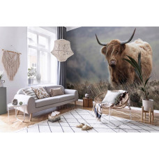 Fototapete eines schottischen Hochländers in einem natürlichen Wohnzimmer.