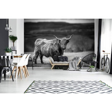 Schottischer Hochländer in der Sonne, Natur, Schwarz-Weiß-Fototapete für das Wohnzimmer.