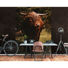 Eine Fototapete mit einem schottischen Highlander in einer Waldumgebung, ideal für ein Büro.