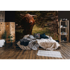 Eine Fototapete mit einem schottischen Highlander in einem Wald, besonders für ein Schlafzimmer.