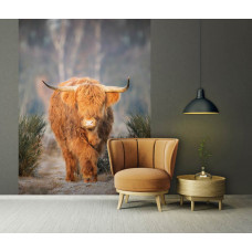 Eine Fototapete mit einem schottischen Hochlandbewohner auf einem Moor, perfekt für ein Wohnzimmer.