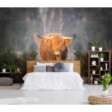Eine Fototapete mit einem schottischen Hochlandbewohner auf einem friedlichen Moor, besonders für ein Schlafzimmer.