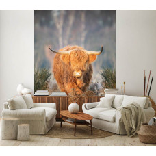 Eine schmale Fototapete mit einem schottischen Hochlandbewohner auf einem offenen Moor, ideal für ein Wohnzimmer.