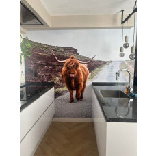 Eine Fototapete mit einem schottischen Highlander auf einer Landstraße, besonders für eine Küche.