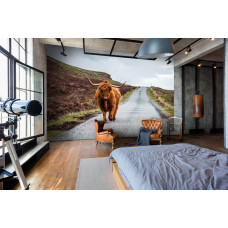 Eine Fototapete mit einem schottischen Highlander auf einer Straße in friedlicher Umgebung, ideal für ein Schlafzimmer.