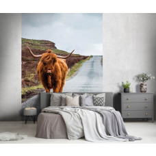 Eine schmale Fototapete mit einem schottischen Highlander auf einer Straße in einer ländlichen Umgebung, geeignet für ein Schlafzimmer.