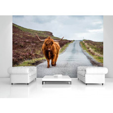 Eine Fototapete mit einem schottischen Highlander auf einer Straße inmitten der Natur, ideal für ein Wohnzimmer.