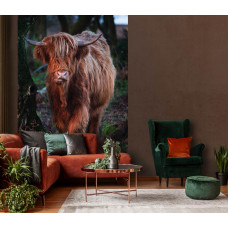 Highland Cattle zwischen den Bäumen im Wald, Natur Fototapete für das Wohnzimmer.
