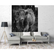 Ein Schwarz-Weiß-Fototapete mit einem Highland Cattle zwischen den Bäumen in einer waldreichen Umgebung, geeignet für ein Wohnzimmer.