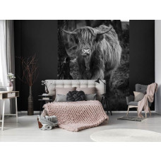 Ein Schwarz-Weiß-Fototapete mit einem Highland Cattle zwischen den Bäumen in einem Wald, speziell für ein Schlafzimmer.