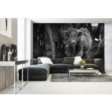 Ein Schwarz-Weiß-Fototapete mit einem Highland Cattle zwischen den Bäumen in einem natürlichen Wald, perfekt für ein Wohnzimmer.