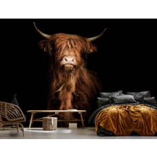 Eine Fototapete mit einem eleganten Highlander in Schwarz und Weiß, perfekt für eine Küche.