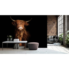 Fototapete Schottischer Highlander