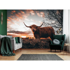 Eine Fototapete mit einem schottischen Highlander in einer weiten Landschaft mit untergehender Sonne im Wohnzimmer.