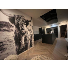 Fototapete mit einem schwarz-weißen schottischen Hochlandrind in ruhiger, natürlicher Umgebung, ideal fürs Esszimmer.