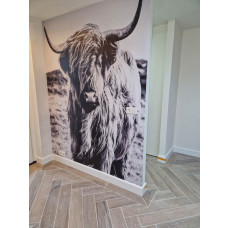 Eine Küche mit einer Fototapete mit einem schwarz-weißen schottischen Hochlandrind in einer ruhigen natürlichen Umgebung.