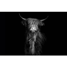 Eine schwarz-weiße Fototapete mit einem schottischen Highlander, der stolz in einer Landschaft steht.