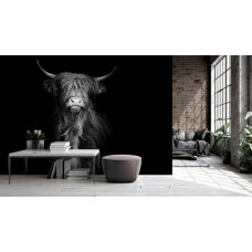 Eine Fototapete mit einem klassischen Design eines schottischen Highlanders in Schwarz-Weiß für ein Schlafzimmer.