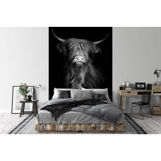 Eine Fototapete mit einem schottischen Highlander in Schwarz-Weiß, geeignet sowohl für ein Wohnzimmer als auch für ein Schlafzimmer.