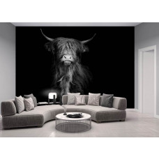 Eine Fototapete mit einem schottischen Highlander in Schwarz-Weiß, ideal für ein stilvolles Wohnzimmer.