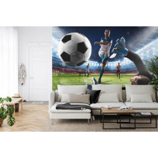 Fototapete mit einem Fußball, der ein Tor in einem Stadion in einem Wohnzimmer erzielt.