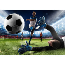 Fototapete mit einem Fußball, der das Tor in einem großen Stadion erreicht, wobei alle Augen auf den entscheidenden Moment des Spiels gerichtet sind.