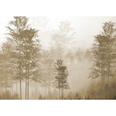 Fototapete mit einem sepiafarbenen Wald, voll warmer brauner und goldener Töne, perfekt für eine nostalgische und zeitlose Ausstrahlung.