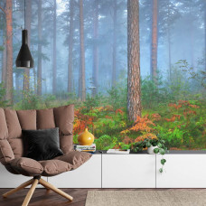 Eine Fototapete mit einer ruhigen Naturansicht eines nebligen Waldes, geeignet für ein Wohnzimmer.