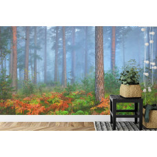 Eine Fototapete mit einer mystischen Waldumgebung mit dichtem Nebel, ideal für eine Küche.