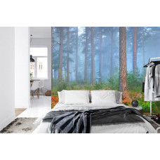 Eine Fototapete mit einem stimmungsvollen, in Nebel gehüllten Wald, mit hohen Bäumen und einer ruhigen Atmosphäre, perfekt für ein Schlafzimmer.