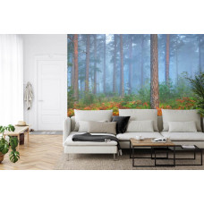 Eine Fototapete mit einer ruhigen, in weichen Nebel gehüllten Waldlandschaft, perfekt für ein Wohnzimmer.