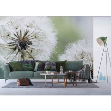 Eine Fototapete mit einem Zierlöwenzahn im Detail, perfekt, um Natur in ein Wohnzimmer zu bringen.