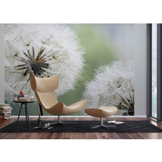 Eine Fototapete mit einem Zierlöwenzahn im Detail, mit feinen Linien und zarten Texturen, ideal für ein Wohnzimmer.